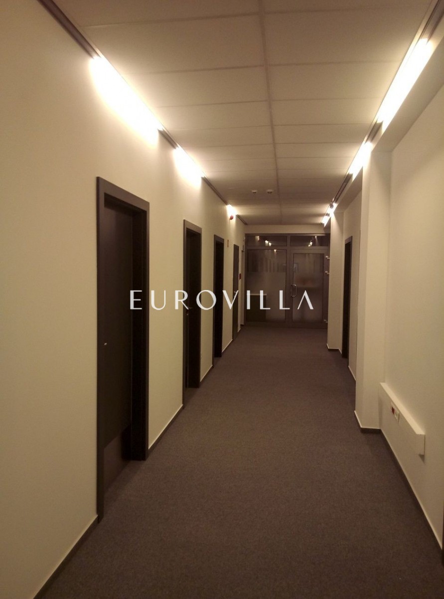 Lokal do wynajęcia Śródmieście