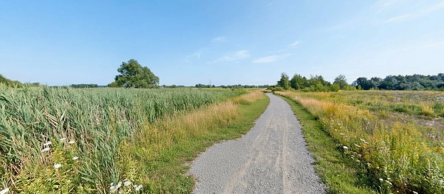 Działka na sprzedaż, Warszawa Wilanów - 859477 - 11932622