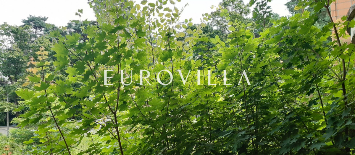 3900 m2 niedaleko Jeziorki, Strefa A